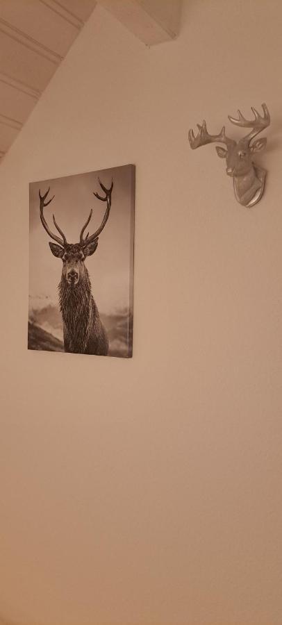 B&B Talstation Horselberg-Hainich Dış mekan fotoğraf